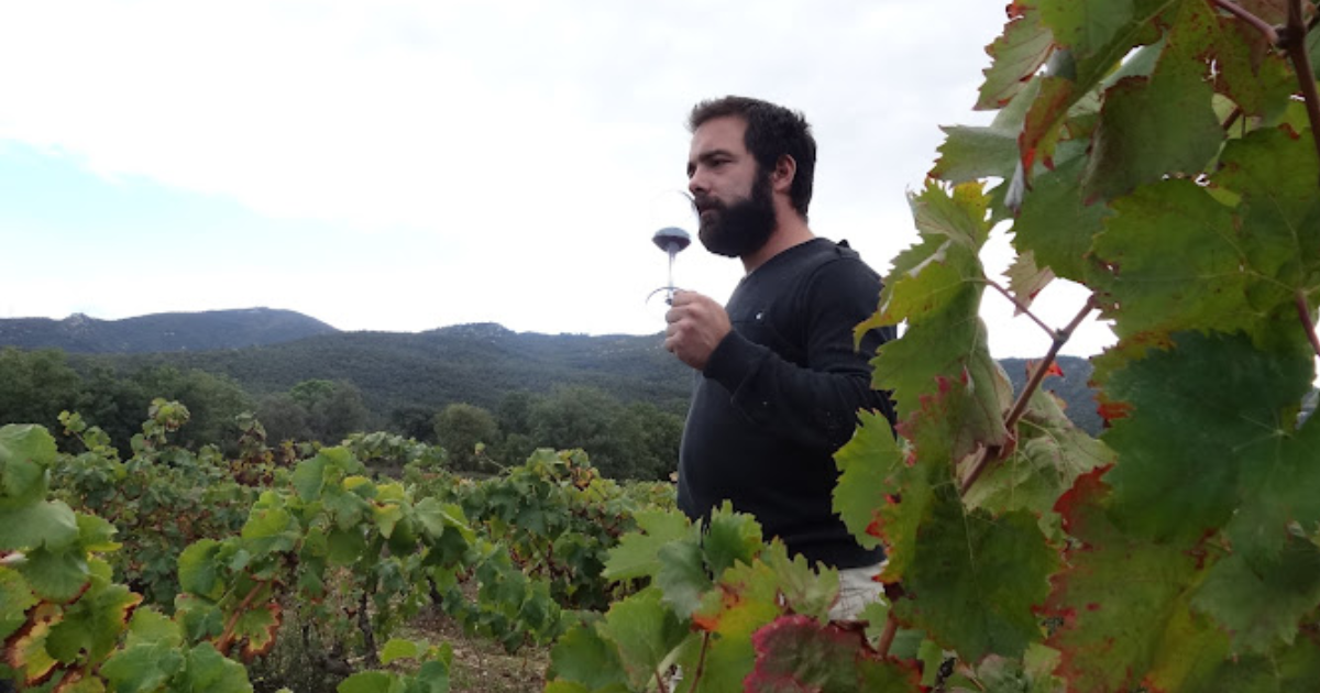 photo de Domaine de la Cerigue