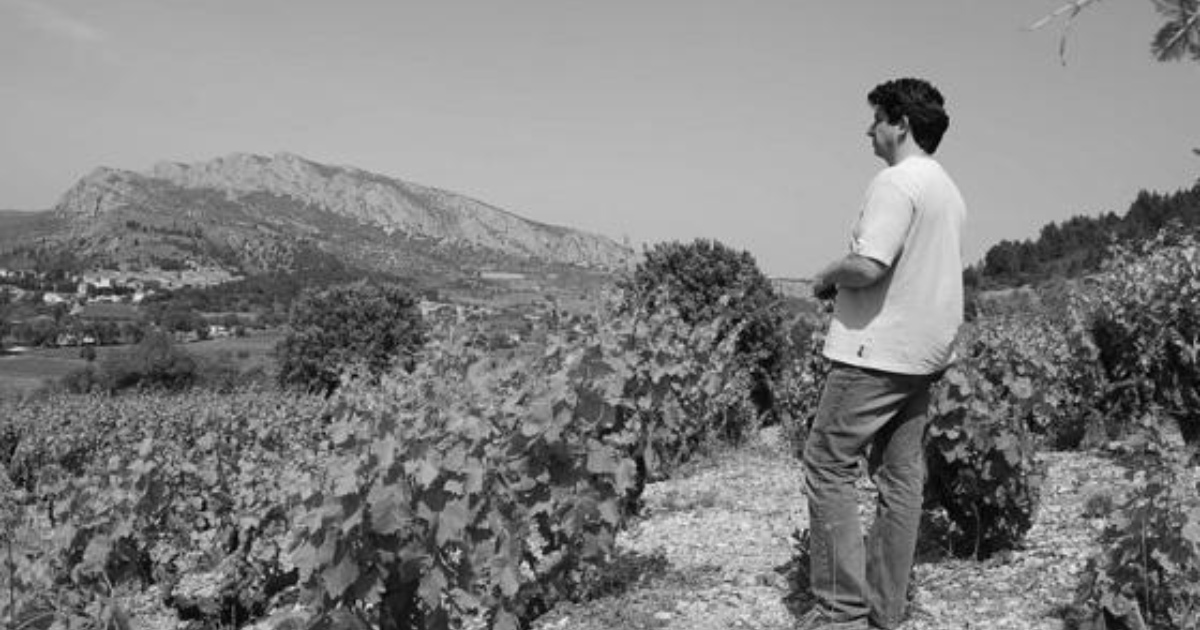 photo de Domaine Gardies